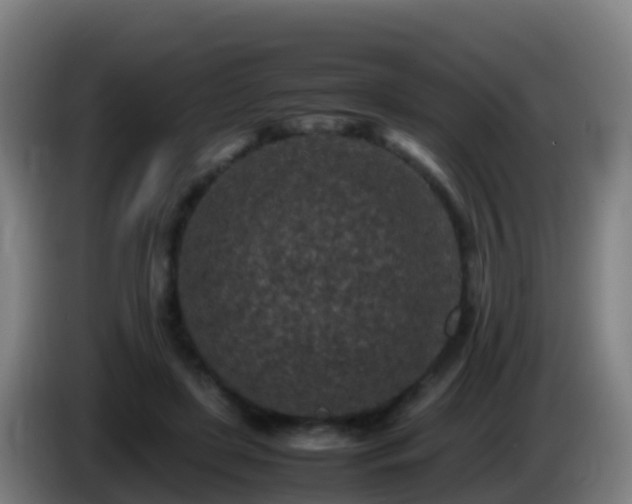 X0000086030451200703301058