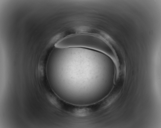 X0000086030452200703301058