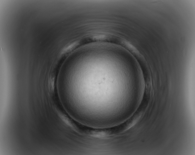 X0000086030454200703301058