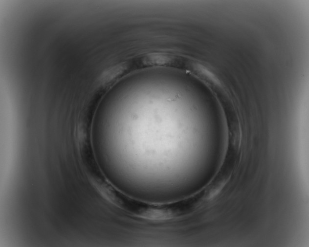 X0000086030455200703301058