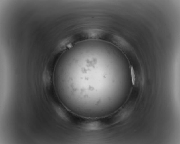 X0000086030456200703301058