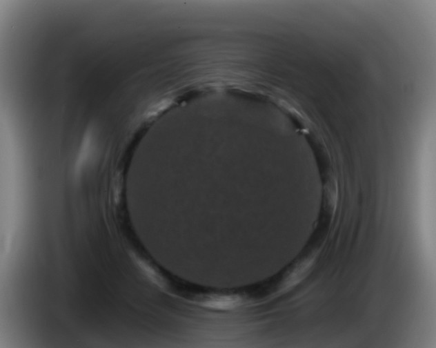 X0000086030458200703301058