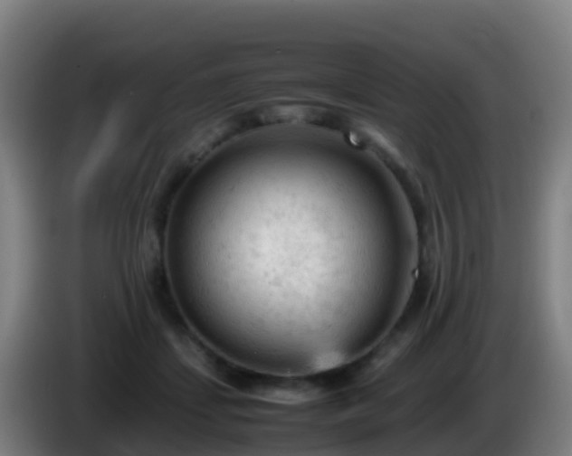 X0000086030459200703301058