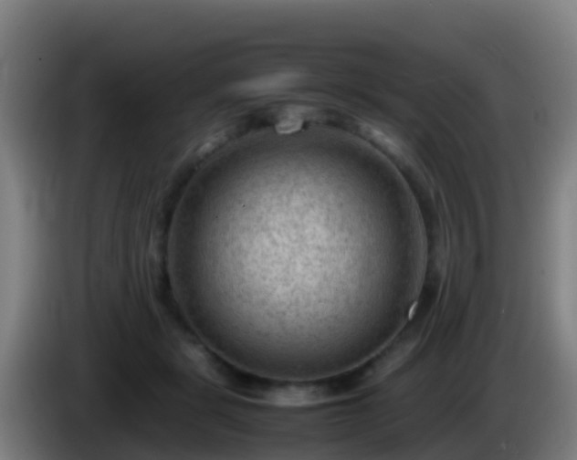 X0000086030461200703301058