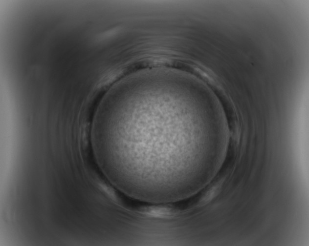 X0000086030462200703301058