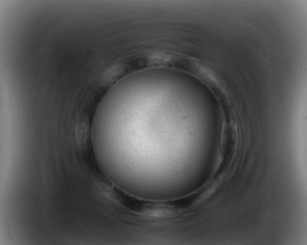 X0000086030463200703301058