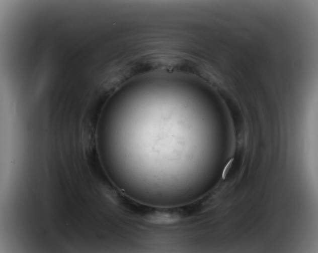 X0000086030464200703301058