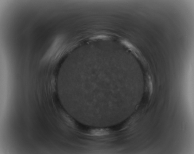 X0000086030465200703301058