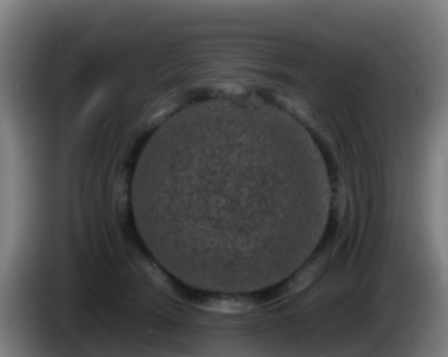 X0000086030466200703301058