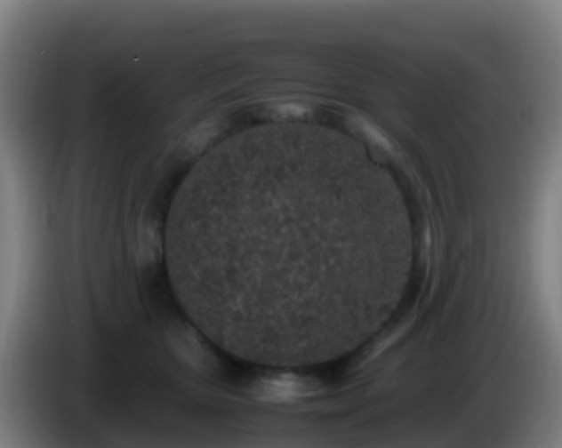 X0000086030467200703301058