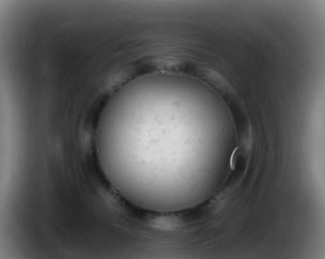 X0000086030468200703301058