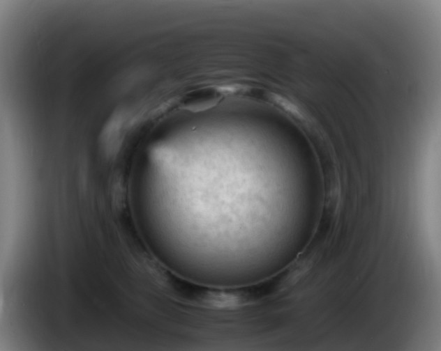 X0000086030469200703301058