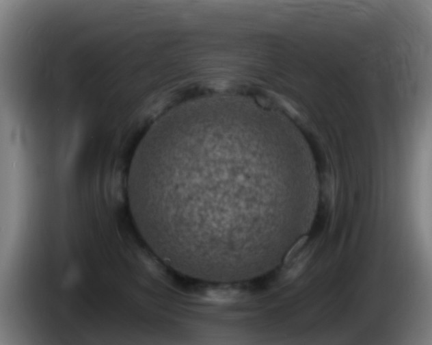 X0000086030470200703301058