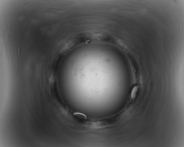 X0000086030472200703301058