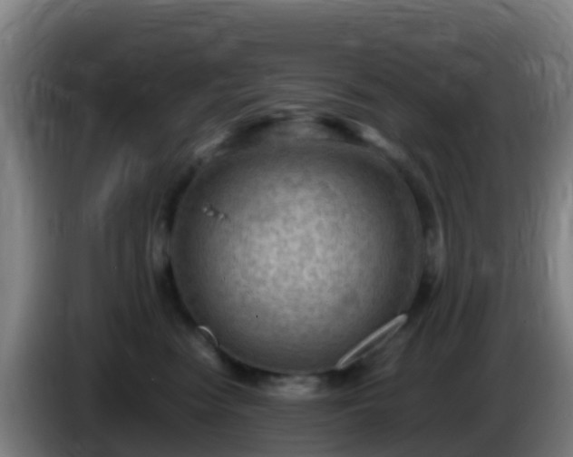 X0000086030474200703301058