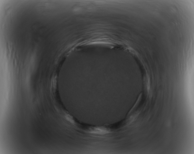 X0000086030475200703301058