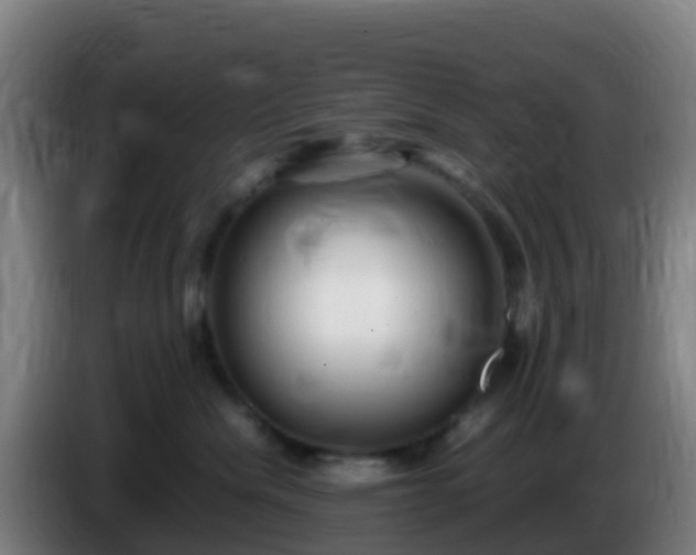 X0000086030476200703301058