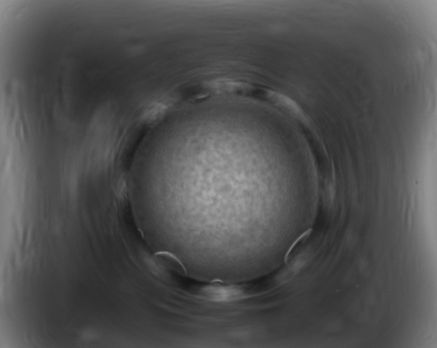 X0000086030477200703301058