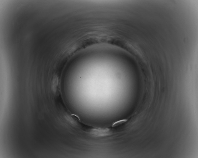 X0000086030480200703301058