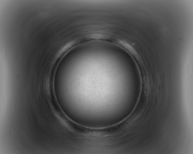 X0000086030482200703301057