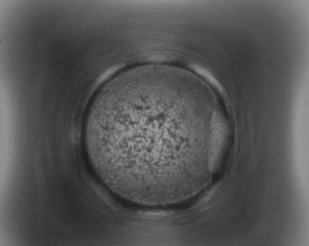 X0000086030483200703301057