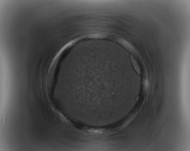 X0000086030484200703301057