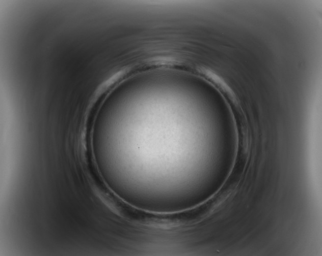 X0000086030486200703301057