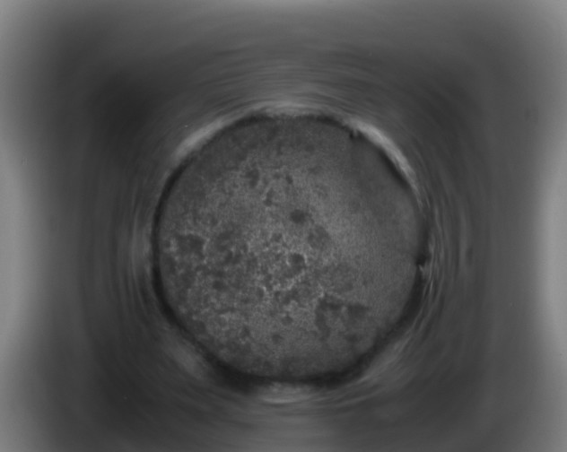 X0000086030487200703301057