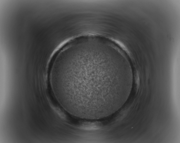 X0000086030488200703301057