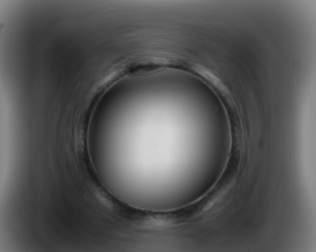 X0000086030489200703301057