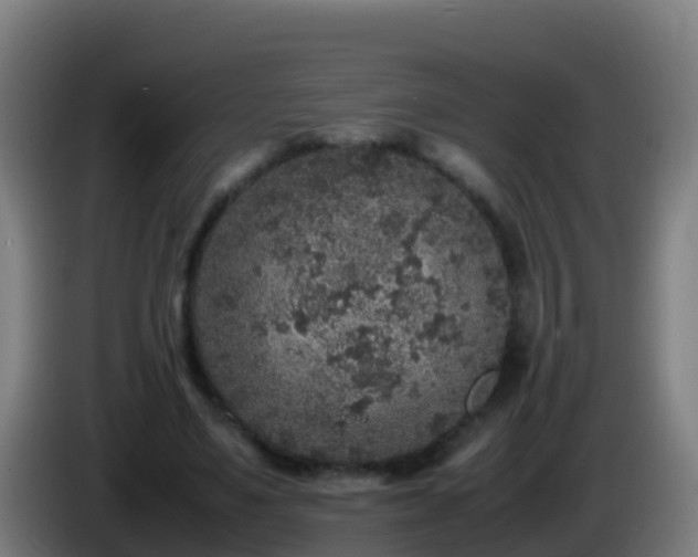 X0000086030491200703301057