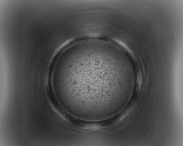 X0000086030492200703301057