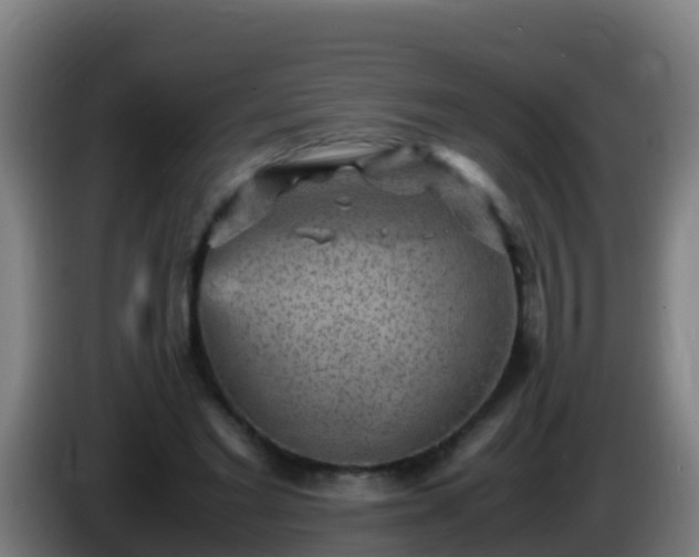 X0000086030493200703301057