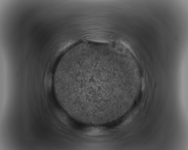 X0000086030495200703301057