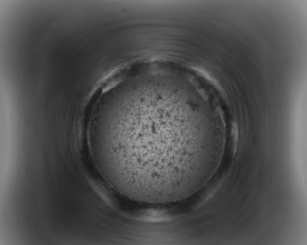 X0000086030496200703301057