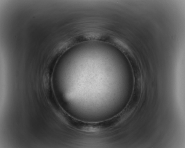 X0000086030498200703301057