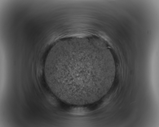 X0000086030499200703301057