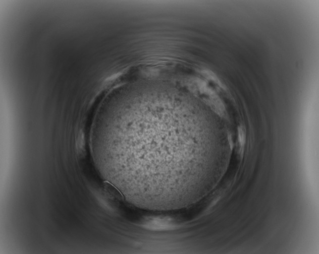 X0000086030500200703301057