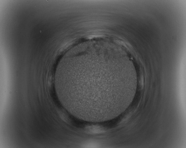 X0000086030503200703301057