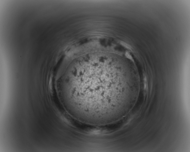 X0000086030504200703301057