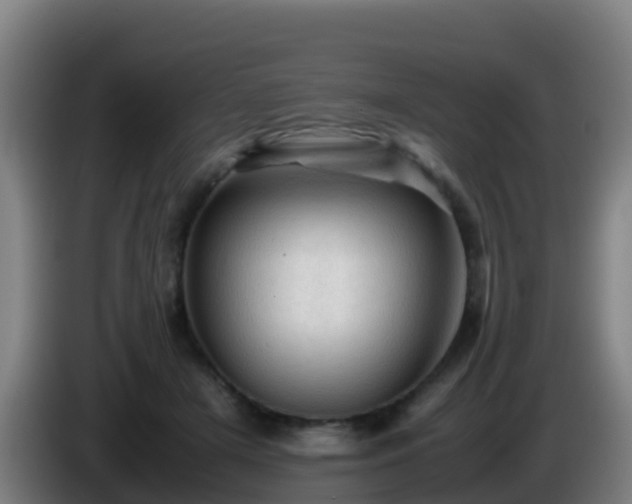 X0000086030505200703301057