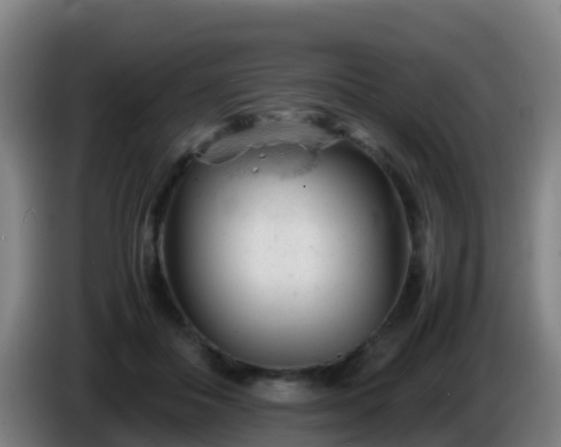 X0000086030506200703301057