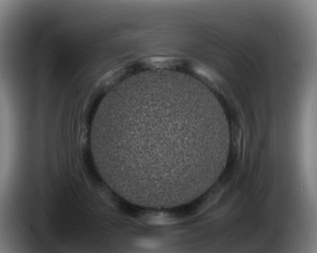 X0000086030507200703301057