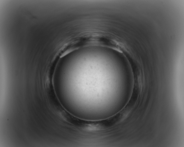 X0000086030508200703301057