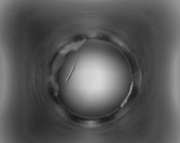 X0000086030509200703301057