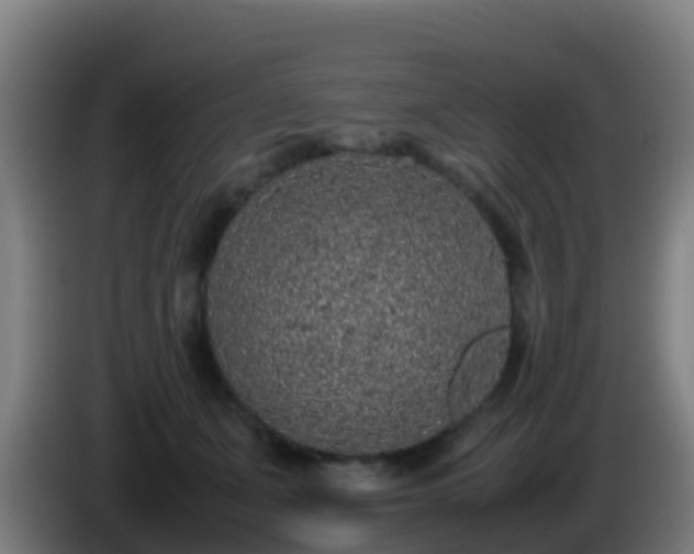 X0000086030511200703301057