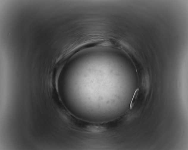 X0000086030512200703301057