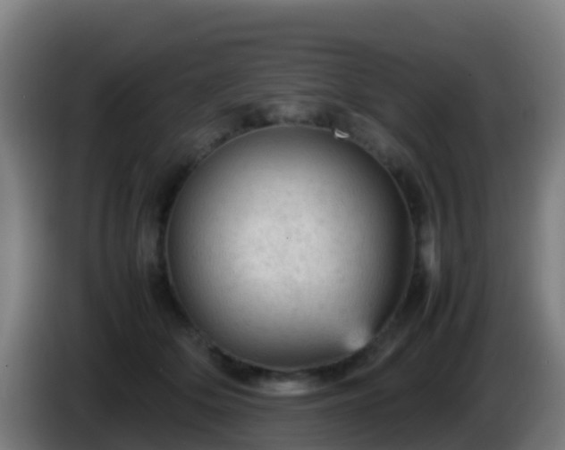 X0000086030514200703301057