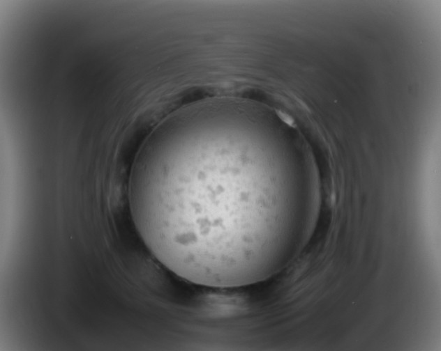 X0000086030515200703301057