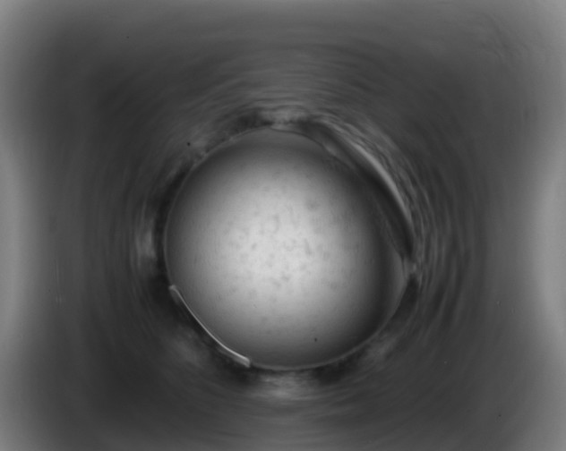 X0000086030516200703301057